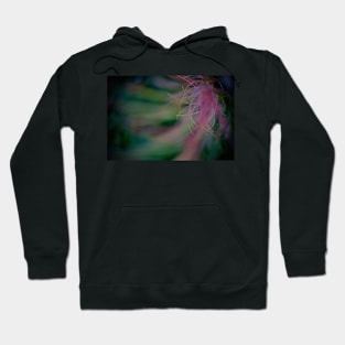 HEN WLAD FY HADAU - "FIREWEED" Hoodie